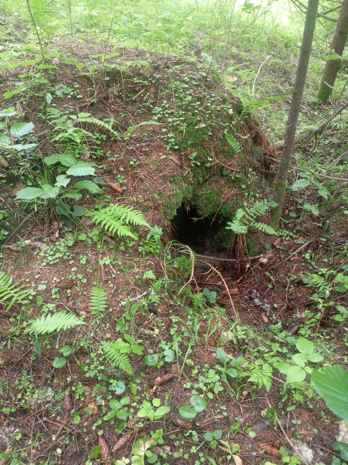 ��������� � ������ 