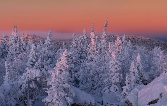 Frosty freshness - wildlife, Jurma, Taganay National Park, Taganay, Landscape, Beautiful view, The photo, Chelyabinsk region, Southern Urals, Winter, freezing, Freshness