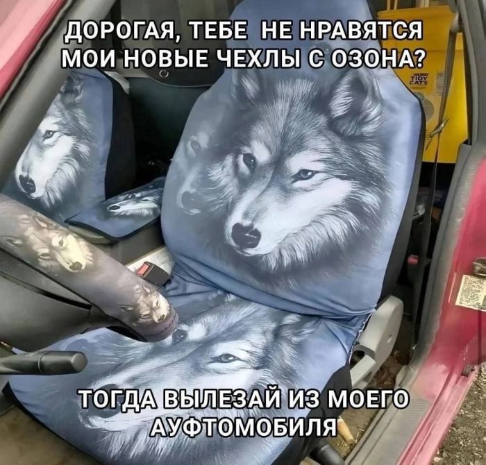  ;) Telegram (), , ,   , ,   