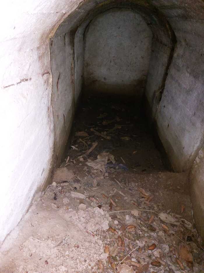 ���� ����������� ����