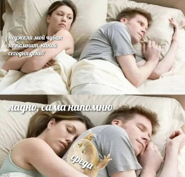 Ах какая женщина, мои чуваки