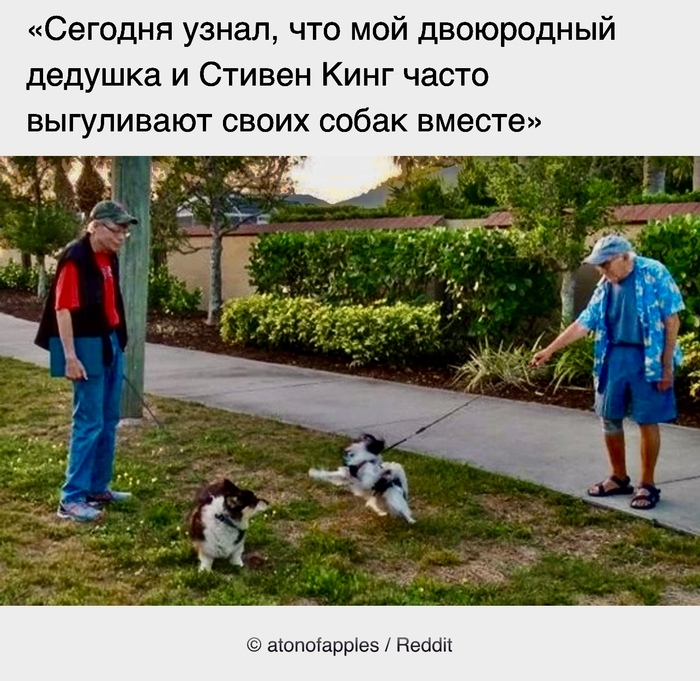 Чего только не бывает