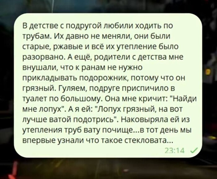   -   Telegram (),  , , ,   