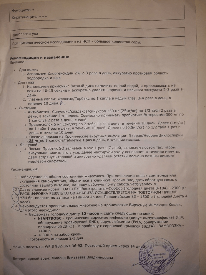 Первое посещение в новой клинике. Карта +анализы 2 стр.