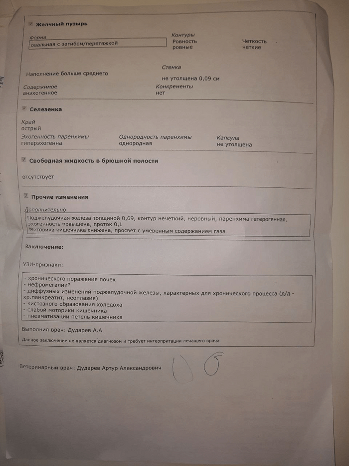 УЗИ и заключение