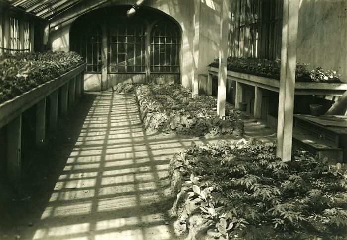     21   . 1942 .         .