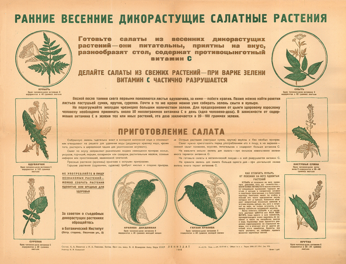  1943 ,     ..   .. ,       .       .