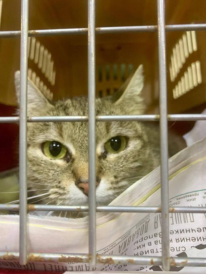 В банде Odinokie_dyshi предвидится пополнение