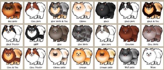 ������ ����������� ������.