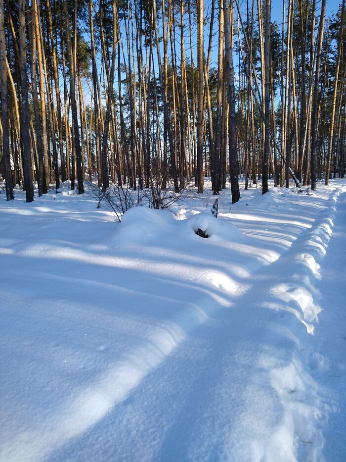 ����� - ��,� ������...