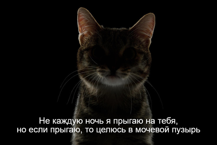   ))