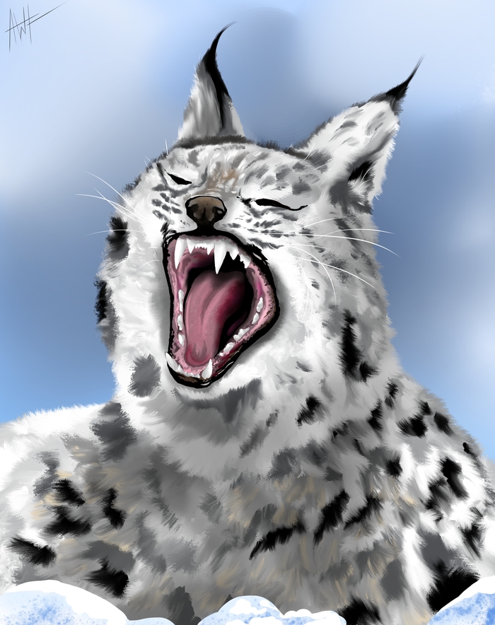 Lynx ,  , Digital, Lynx, 