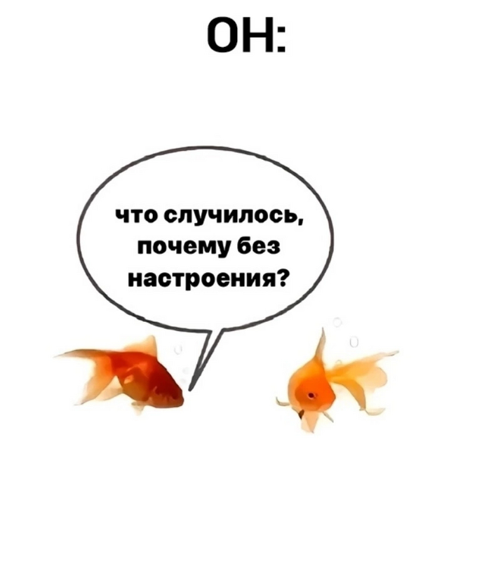         , ,   , ,   ,  