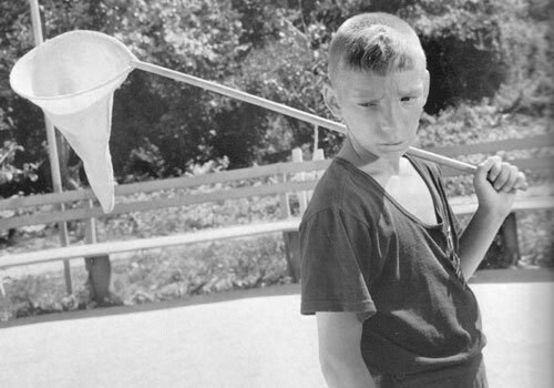 ���� �� ������ ������ ����������, ��� ����������� ���� ����������, 1964 ���