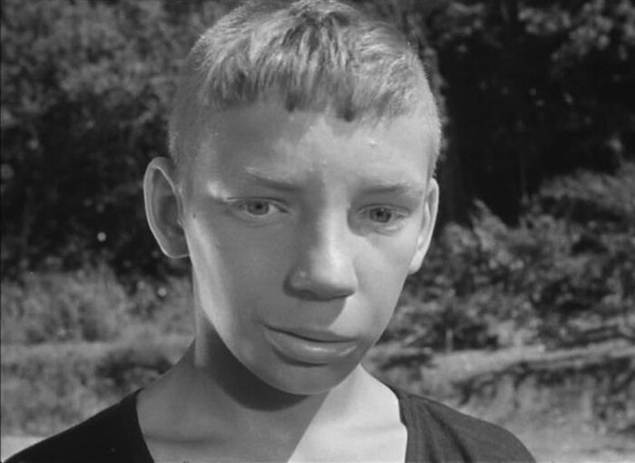 ���� �� ������ ������ ����������, ��� ����������� ���� ����������, 1964 ���