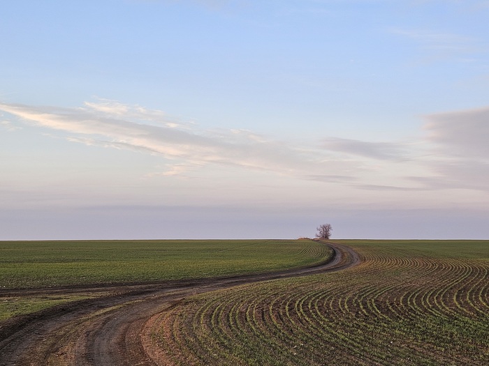 ����������� ������������