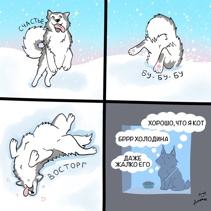 Кошачья логика