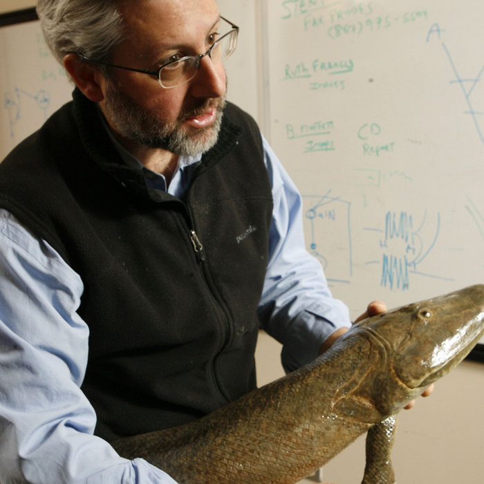 Учёные продолжают допрашивать тиктааликов по поводу наших родственных связей, но они молчат как рыбы.