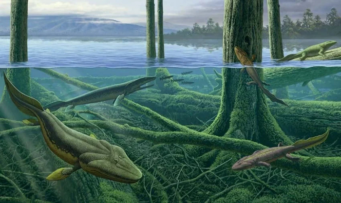 Организмы, занимающиеся расщеплением органики потребляют много кислорода. А чем меньше содержание кислорода в воде, тем ниже скорость разложения, и тем больше органики в ней накапливается. Замкнутый круг!