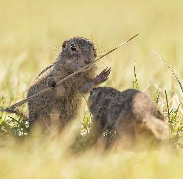 Первое занятие по кунг-фу