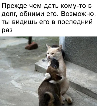 Может ещё увидемся