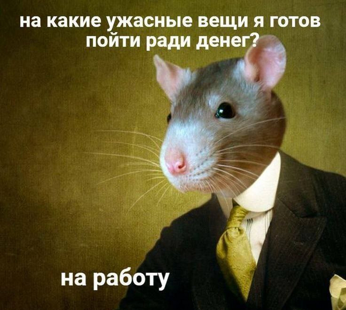  , , , ,   , ,  , 