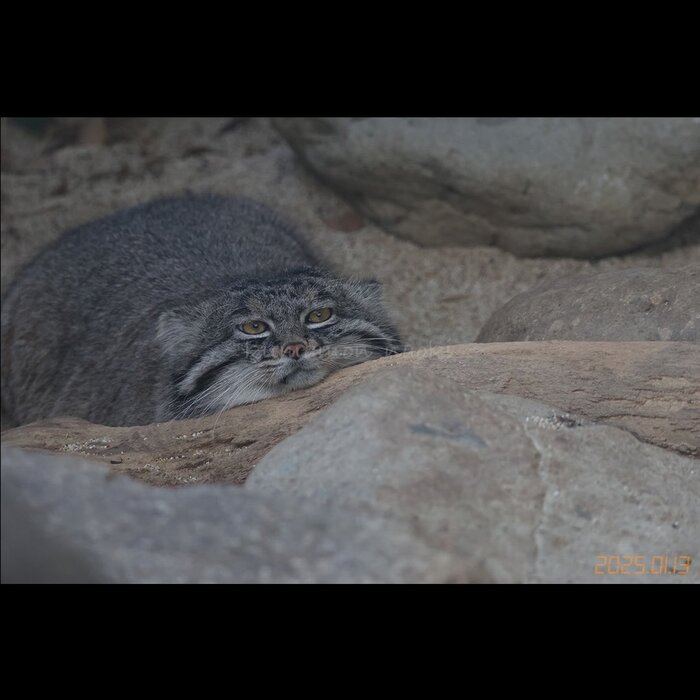 Не могу оторвать голову от подушки...