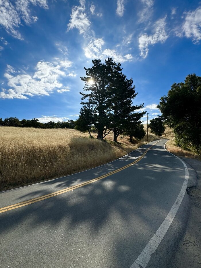 Сельская пастораль