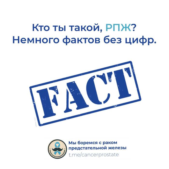 Кто ты такой, рак предстательной железы? Немного фактов без цифр