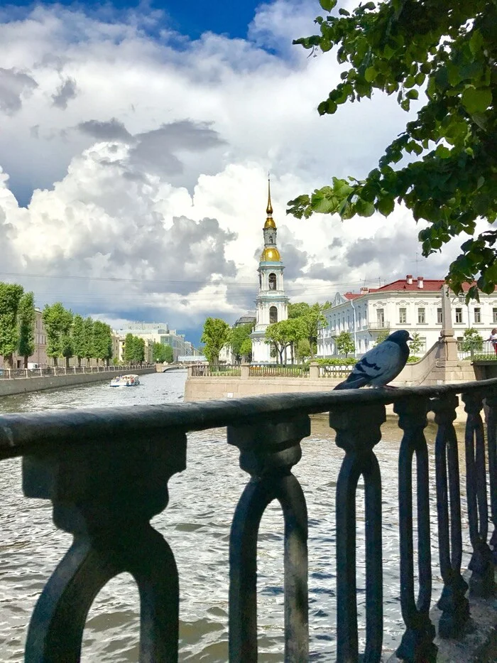 St. Nicholas Cathedral in St. Petersburg – interesting facts - My, sights, History, Temple, The culture, Monument, Saint Petersburg, The cathedral, Tourism, Cities of Russia, Russia, Museum, The photo, Architecture, Travels, Travel across Russia, Local history, История России, Building, beauty, Church, Longpost