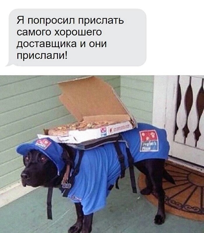 Какой хороший мальчик!