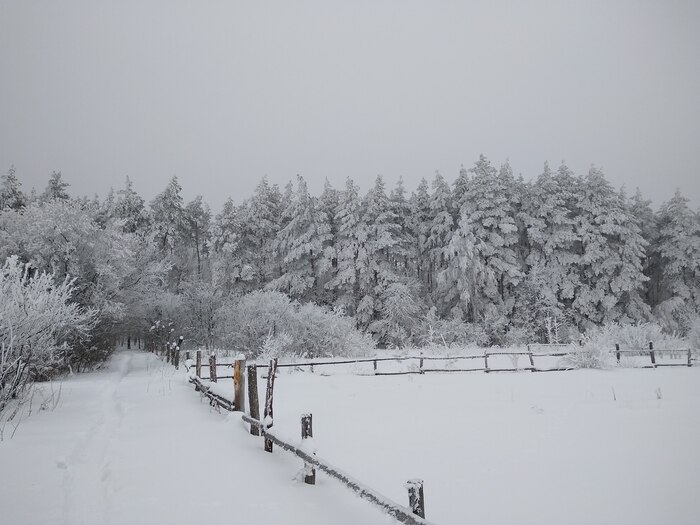 � ����� ������� ����� � �����