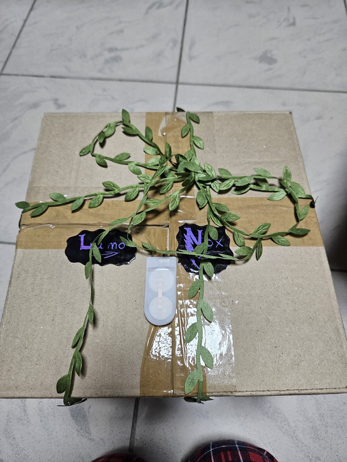Коробка — это шедевр! Lumos & Nox