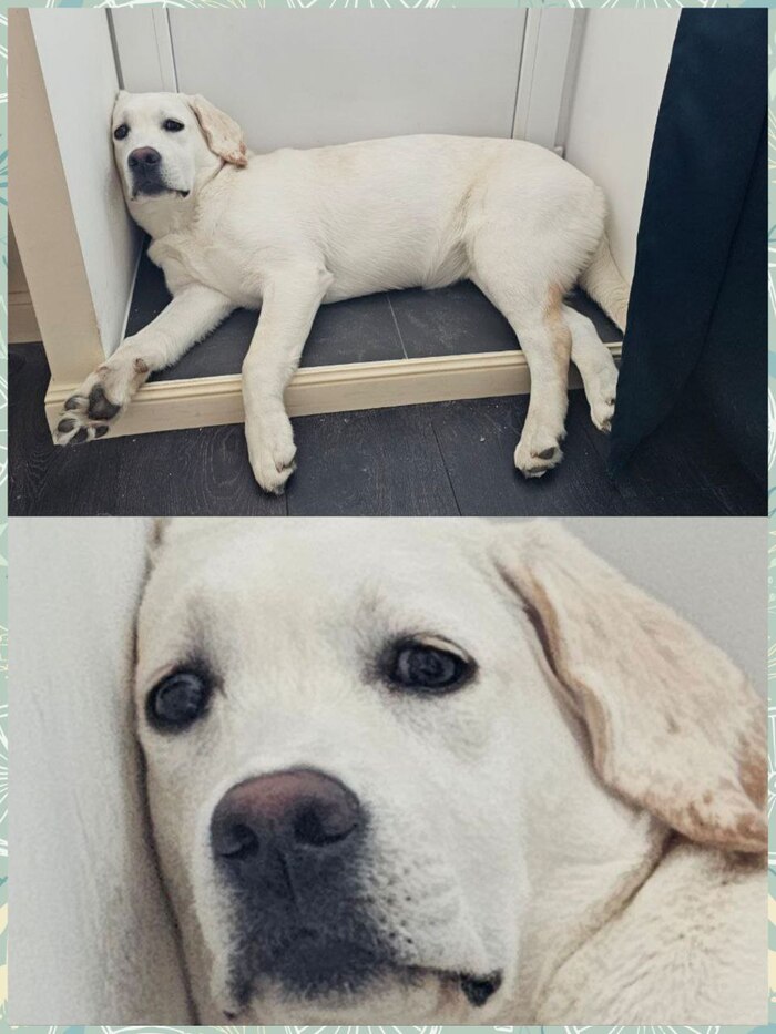     , , , ,   , 