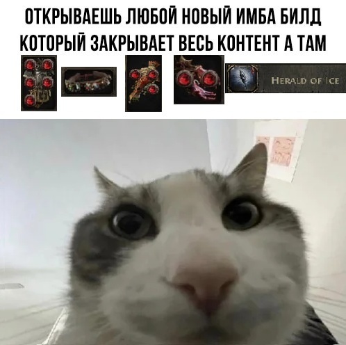   Path of Exile 2