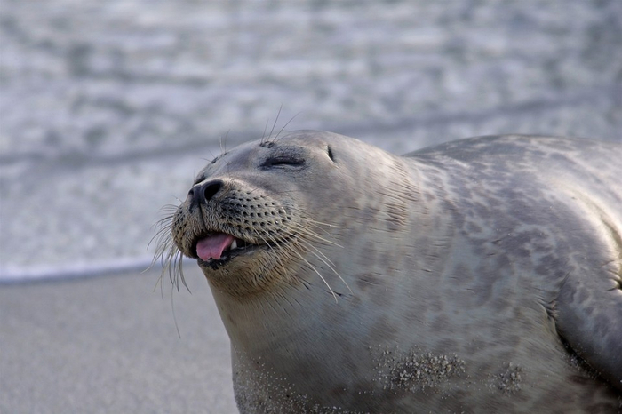 Я счастливый, у меня нет кредитов :3