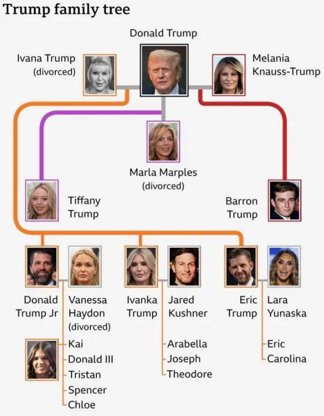 Вот как выглядит семейное древо Трампа. Вот кто еще может выпустить свою крипту!