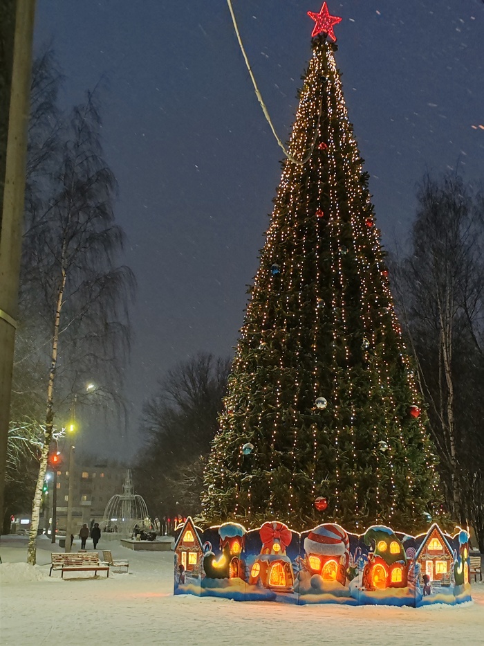 Ёлка в парке