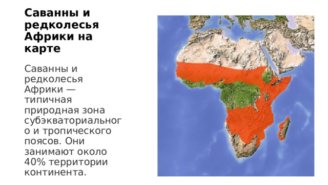 Дрофы чёрного континента предпочитают локальную альтернативу степям - саванны