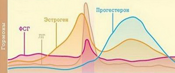 ������� ������ � ���� ��������� (��� � �����)