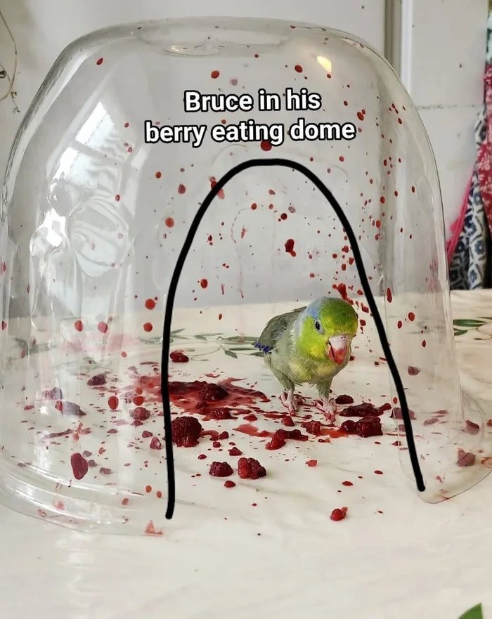   ,    , , , , , 