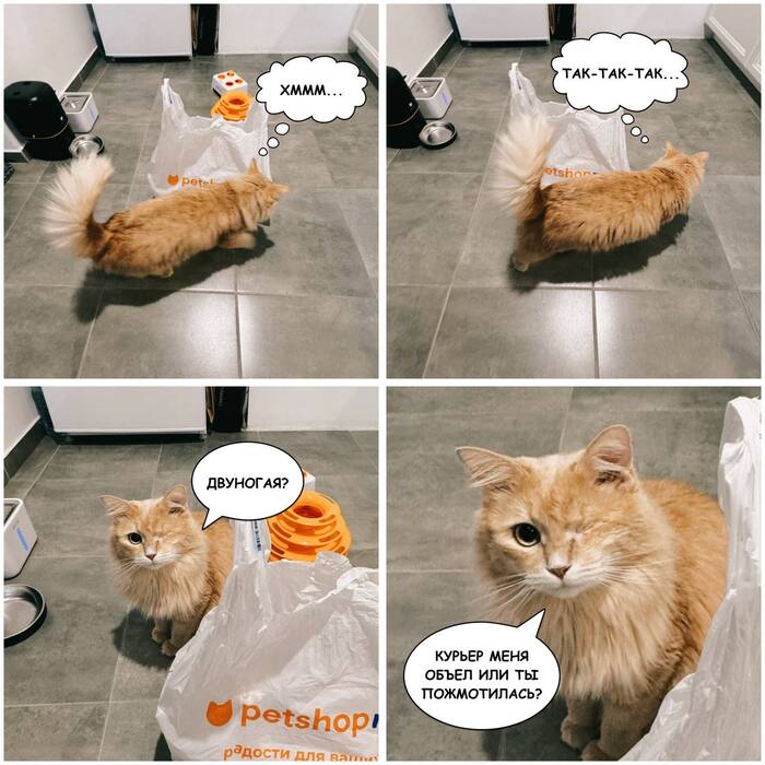    , , , ,   , ,  ,  (), , 