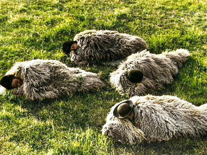 Подборка интересных и необычных фотографий из США. 20 раскрашенных фотографий ХХ века. Часть XV Старое фото, Историческое фото, Фотография, США, 20 век, Колоризация, Длиннопост