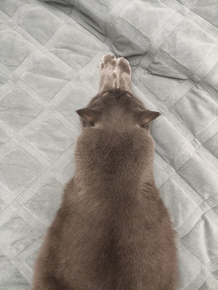  , , ,  ,  , 