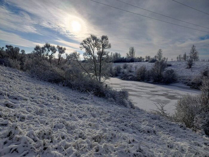 Холодный рассвет