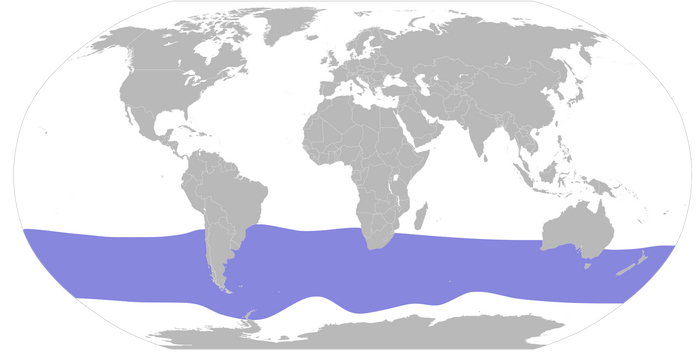 Это примерно здесь