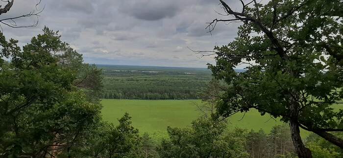 Шикарен вид