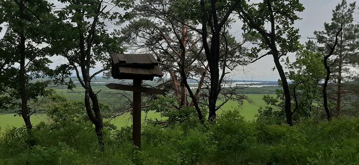 Вид на Амурские дали