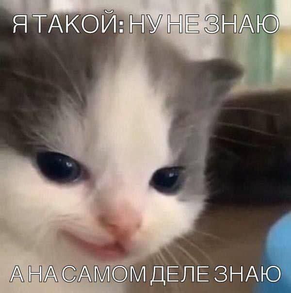   , ,   , 