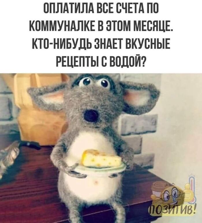 ,   , 